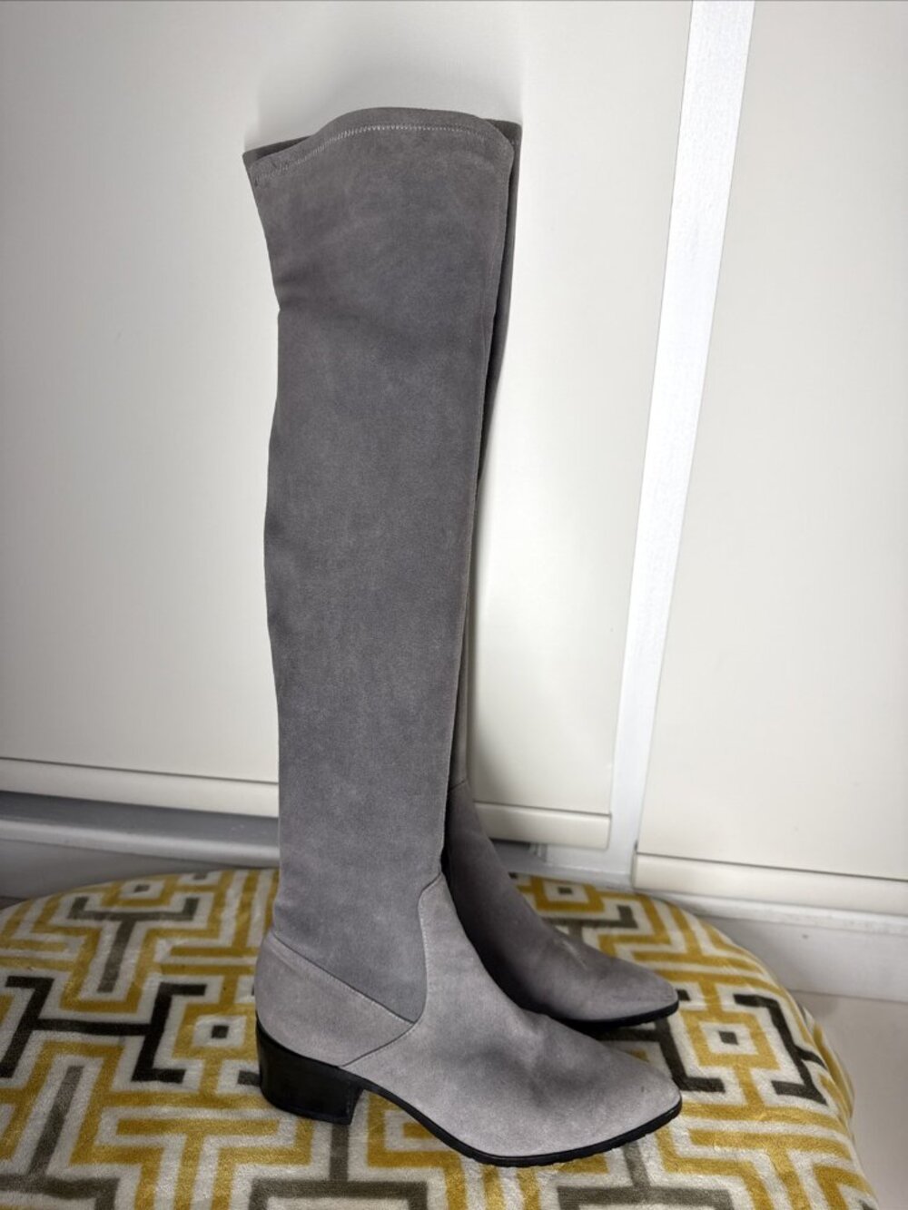 Donald Pliner Women's Dayle Suede Over-The-Knee Boot Storm 6.5 Worn Once.